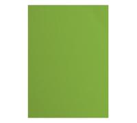Vaessen Creative Papier Cartonné A4-25 pcs - Frog (Vert) - Feuilles Colorées Texturées 216 g - pour Scrapbooking, Cartes & DIY