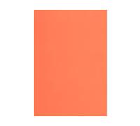 Vaessen Creative Feuilles de Mousse, Orange, Taille unique, Set de 10 Pièces