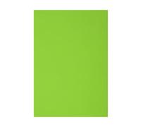Vaessen Creative Feuilles de Mousse, Vert Clair, Taille unique, Set de 10 Pièces
