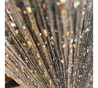 Vagasi Lot de 2 Rideaux Fils Paillette 100x200cm Draperie Rideau Spaghetti Elégance Studio Fenêtre Porte Anniversaire Mariage Fête Hôtel