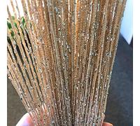 Vagasi Lot de 2 Rideaux Fils Paillette 100x200cm Draperie Rideau Spaghetti Elégance Studio Fenêtre Porte Anniversaire Mariage Fête Hôtel