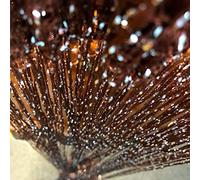 Vagasi Lot de 2 Rideaux Fils Paillette 100x200cm Draperie Rideau Spaghetti Elégance Studio Fenêtre Porte Anniversaire Mariage Fête Hôtel