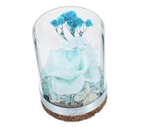 Vaguelly 1 Pièce Ornement De Fleur Préservée Rose Éternelle Fleurs Éternelles Couverture Rose Ornement De Noël Roses Éternelles Préservées Décorations De Centre De Table Sèches Ornements
