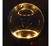 Vaguelly 1ensemble Boîte Exposition Sphérique Verre Transparent avec Protection pour Figurines et Micro-paysages Accessoire Décoratif Polyvalent pour Maison et Bureau