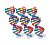 Vaguelly 3 pièces Modèle Double Hélice DIY Kit Scientifique Éducatif pour Apprentissage Biologie et Enseignement Collaboratif