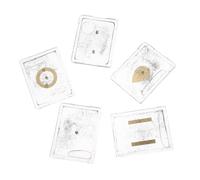 Vaguelly 5 Ensembles Boîte de Limaille de Fer Magnétique en Plastique pour Démonstrations Scientifiques en Classe, Outil Pédagogique Physique pour Expériences de Champ Magnétique