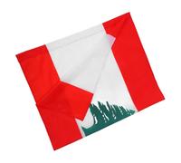 Vaguelly Drapeau Libanais En Polyester Pour Événements 1 Unité Conception De Manchon De Mât Décoration De Fête Portable Et Facile à Transporter Représentation Culturelle