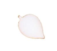 Vaguelly Plaque de Couleur pour Ongles Résine Blanche Forme Feuille Bord Doré Outil Nail Art Facile à Nettoyer pour Manucure et Affichage des Œuvres