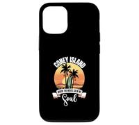 Vagues - Coney Island Coque pour iPhone 12/12 Pro