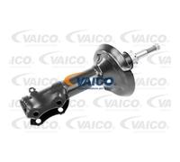 VAICO Amortisseur Avant Compatible Pour VW Passat Variant 3A5 35I 3A2 53I