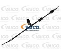 VAICO Câble, frein de stationnement Qualité d'origine VAICO