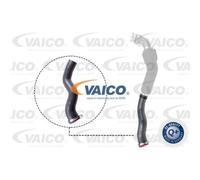 VAICO Durite Entrée D'Air pour Nissan Boîte Primastar 2.5 DCI 150 Interstar Bus