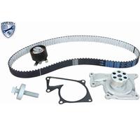 VAICO pompe à eau + kit courroie de distribution EXPERT KITS +