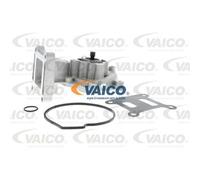 VAICO Pompe À Eau Pour Ford Mondeo III Break BWY B5Y FD_ _ FB_ FS_ FZ_