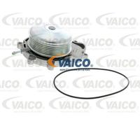 VAICO pompe à eau qualité d'origine VAICO