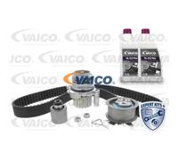 VAICO Pompe À L'Eau + Courroie pour VW Caddy III Break Touran Golf V Variant