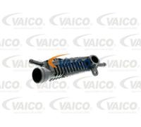 VAICO soupape, ventilation du carter moteur qualité originale VAICO