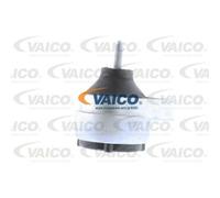 VAICO Support Moteur Droit Pour Ford Focus Turnier DNW 1.6 16V 1.8 DAW DBW