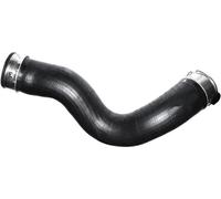 VAICO Tuyau d'air de suralimentation Q+, qualité d'origine