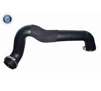 VAICO Tuyau De Charge Turbo Pour Ford Transit Fourgon 2.2 TDCi RWD