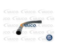 VAICO Tuyau de Radiateur Kühl Gestion Haut pour BMW 3er Compact Coupé V20-0147