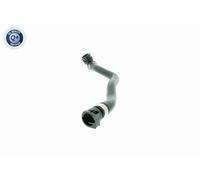 VAICO Tuyau De Radiateur Pour BMW Série 5 Série 6 Cabriolet V20-1303