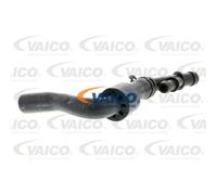 VAICO Tuyau De Refroidissement Compatible Pour Audi A3 TT V10-3912