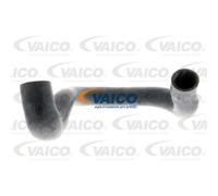 VAICO Tuyau De Refroidissement Compatible Pour BMW Série 3 Cabriolet V20-0140