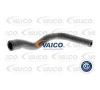 VAICO Tuyau De Refroidissement Pour BMW 3 Série Cabriolet V20-1240
