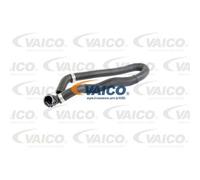 VAICO Tuyau De Refroidissement Pour BMW 3 Série Cabriolet V20-1300