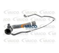 VAICO Tuyau De Refroidissement V20-2896