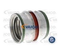 VAICO Tuyau De Surpression Pour Audi A3 8L1 1.9 TDI VW Golf IV 1J1 1J5