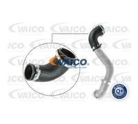 VAICO Tuyau De Surpression Pour Ford Kuga II 2.0 TDCI 4X4 Focus III Break