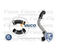 VAICO Tuyau De Surpression Pour Ford Kuga II DM2 Focus III Break DXA/CB7 DXA/CEU