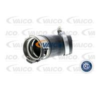 VAICO Tuyau De Surpression Pour VW Transporter V Bus 7HB 7HJ 7EB 7EJ 7EF 7EG