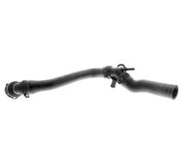 VAICO V10-1000 Durite de radiateur (1J0122101D)