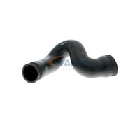 VAICO V10-2876 Gaine de suralimentation
