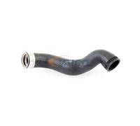 VAICO V10-2918 Gaine de suralimentation