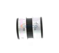 VAICO V10-3765 Gaine de suralimentation