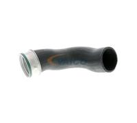 VAICO V10-3816 Gaine de suralimentation