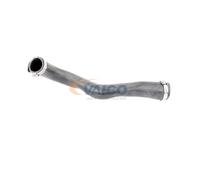 VAICO V10-3817 Durite de turbo