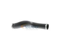 VAICO V10-3832 Gaine de suralimentation