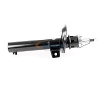 VAICO V10-4955 Amortisseur