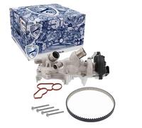 VAICO V10-50114 Kit de distribution + pompe à eau