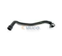 VAICO V10-9766 Flexible, aération de la housse de culasse