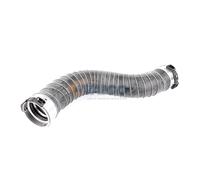 VAICO V20-2966 Gaine de suralimentation
