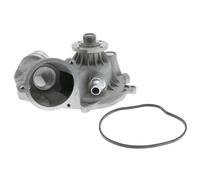 VAICO V20-50046 Pompe à eau (11517586780)