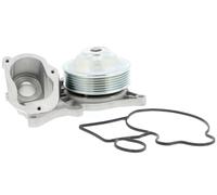 VAICO V20-50058 Pompe à eau (11518516205)