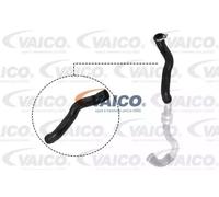 VAICO V21-0025 Durite de turbo