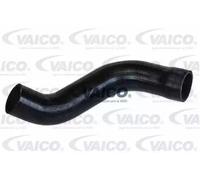 VAICO V22-1099 Gaine de suralimentation